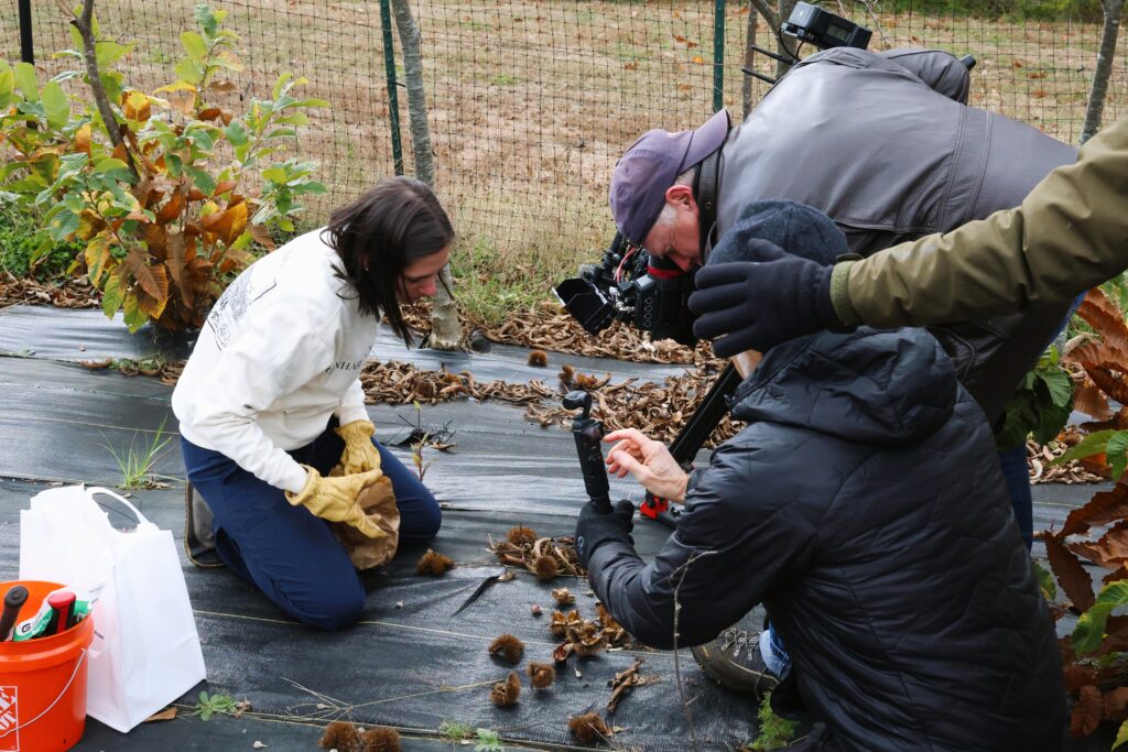 PBS Films Reinhardt Research Efforts