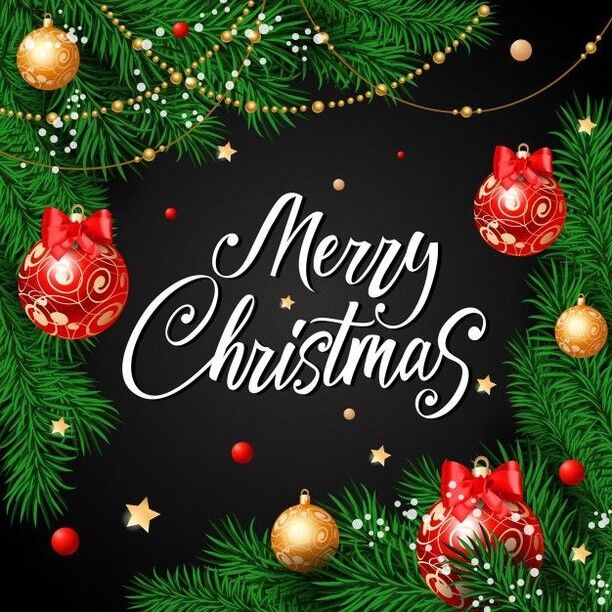 We would like to wish everyone a Merry Christmas & Happy Holidays! #americasforestswithchuck #afcl #chuckleavell @americasforestswithchuck @chuck_leavell